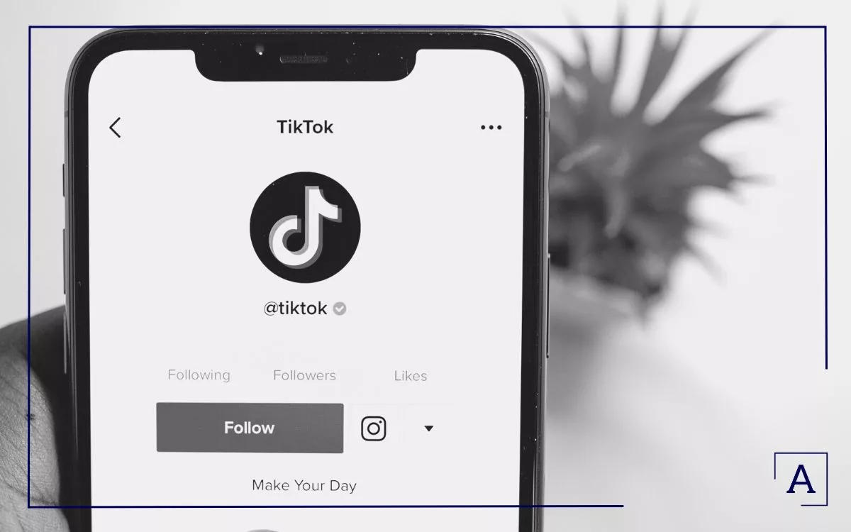 The Billion Dollar TikTok Scandal